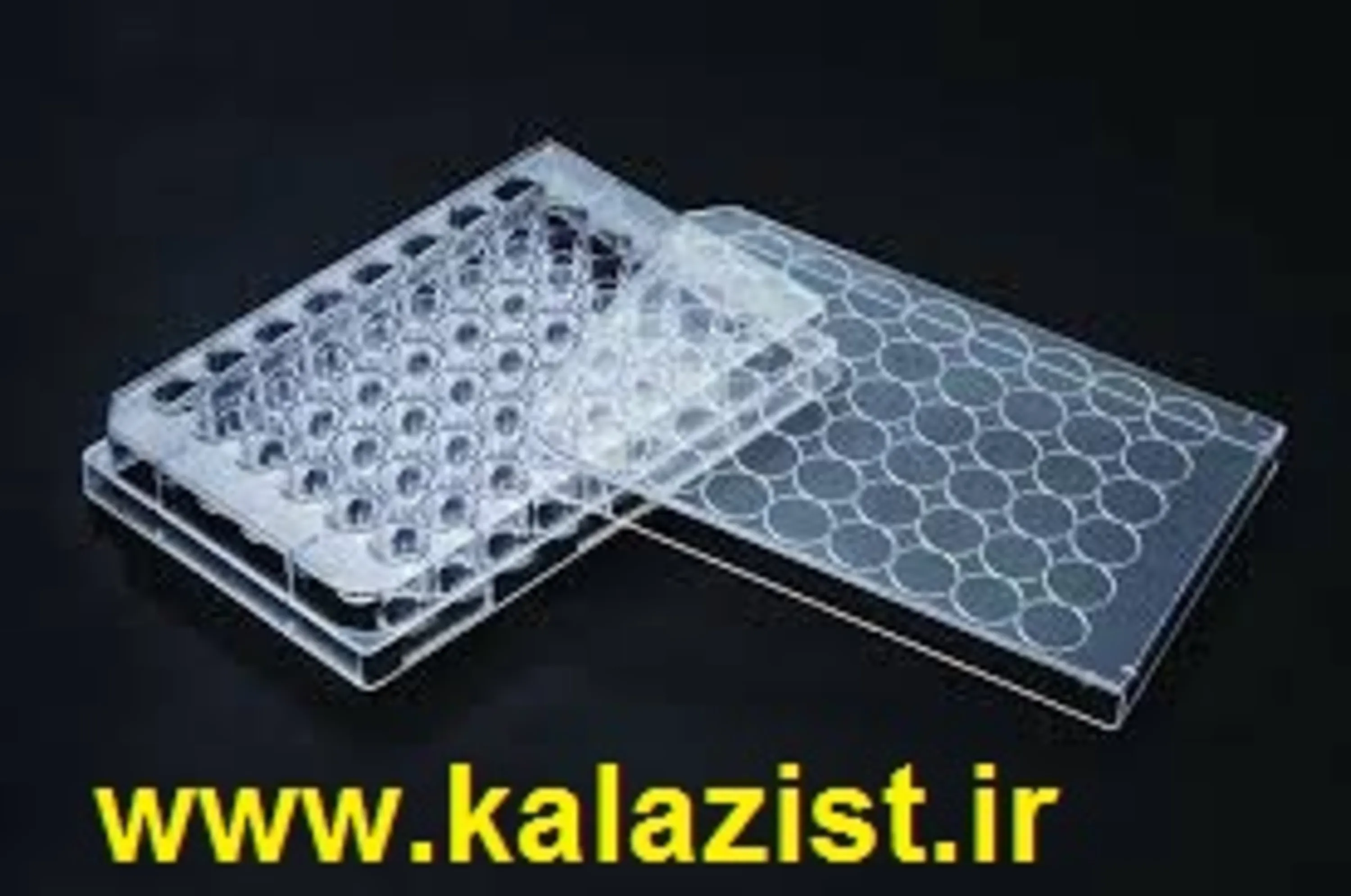 پلیت کشت سلول 48 خانه SPL کالا زیست kalazist پلیت کشت سلول 48 خانه SPL کالا زیست kalazist